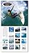 Search : Shudda Been Here Yesterday!: A Surfing Calendar for 2008
