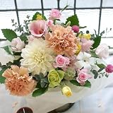 �t�����[�y �A�����W�����g�@�L�O���@�a�����@�t�����[�M�t�g�@�ԁ@�V�z�j���@�J�X�j���@�J���t�� ha �z
