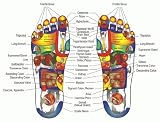 Hong Detox Foot Patches