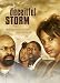 Deceitful Storm