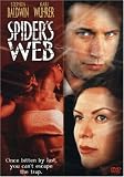 Spider's Web