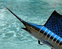 Taxidermy 23" Fiberglass Sailfish Statue
