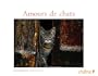 Calendrier Perp�tuel Amours de chats