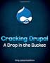 Cracking Drupal: A Drop in the Bucket