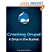 Cracking Drupal: A Drop in the Bucket