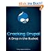 Cracking Drupal: A Drop in the Bucket