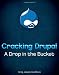 Cracking Drupal: A Drop in the Bucket
