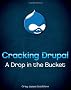 Cracking Drupal: A Drop in the Bucket
