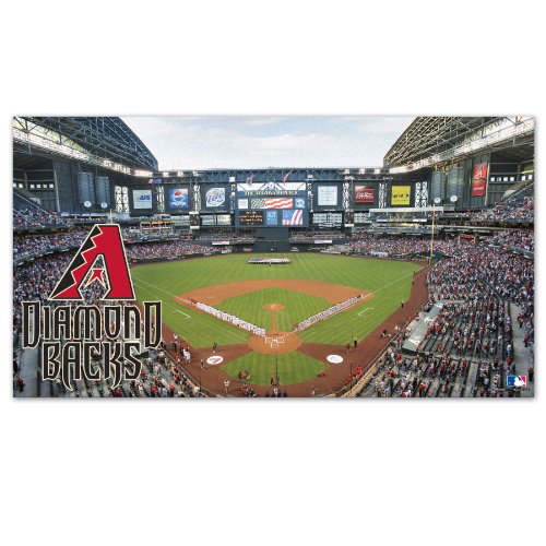 MLB Arizona Diamondbacks Large Floor Mat