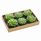 Succulent Tealight Candles in a Gift Box (A Set of 6), Three Different Designs