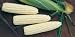 100% Certified Organic: Sugar Pearl F1 Hybrid Corn Seeds