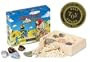 Rock & Crystal Excavation Kit
