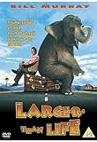 Buy : Larger Than Life