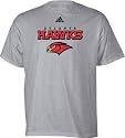 Atlanta Hawks Grey Adidas True T-Shirt