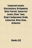 Somerset Levels: Glastonbury, Bridgwater, River Parrett, River Tone, King's Sedgemoor Drain, Somerton, River Brue, Ilchester, Puriton-