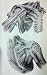 Books : Surgical Anatomy