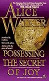 Possessing the Secret of Joy (Mass Market Paperback)