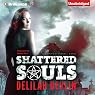 Shattered Souls: A Caitlyn O’Connell Novel, Book 1