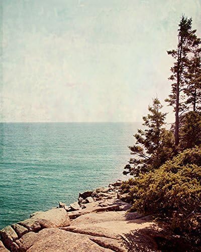 Acadia National Park Coastal Landscape Photograph "Salt-Kissed" Pines Maine Fine Art Photography Print