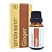 Simply Earth Ginger Essential Oil by (Ginger Root) - 15 ml, 100% Pure Therapeutic Grade