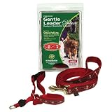 Gentle Leader Deluxe Head Collar and Leash, Large, Bones On Square/Black