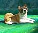 AKITA DOG Lays down FIGURINE Resin NIB NEW 501