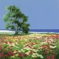DER ALTE BAUM UND DAS Art Print Poster By ROBIN, 27.5 " x 27.5 "