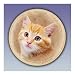 You Warm My Heart: Fine Porcelain And 22K Gold-Banded Cat-Themed Collector Plate by The Bradford Exchange