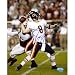 Mounted Memories Chicago Bears Rex Grossman Signed 8X10 Photograph Size: One Size