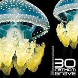 Consciousness and Its Implications [Explicit]