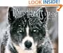 Wild Hearts, Dog Sledding the Rockies