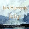 Julip