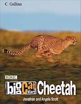 Big Cat Diary: Cheetah