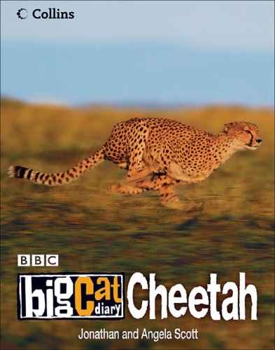 Cheetahs