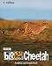 Big Cat Diary: Cheetah (Big Cat Diary)