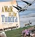 A Walk in the Tundra (Biomes of North America)