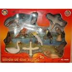 Birds of the World 12 piece playset: Flamingo, Swan, Heron, Duck, Cockatoo, Eagle, Vulture, Pelican, Owl, Macaw, Tucan and Falcon, Figures in Window Box