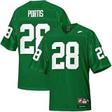 Nike Miami Hurricanes #28 Clinton Portis Green Greats and Glory Football Jersey