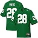 Nike Miami Hurricanes #28 Clinton Portis Green Greats and Glory Football Jersey