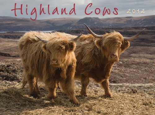 The Highland Cow 2012 Calendar