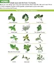AeroGarden Custom Herb Seed Kits