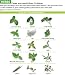 AeroGarden Custom Herb Seed Kits