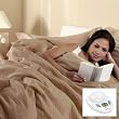 Sunbeam King Box Pattern Premium Heated Electric Warming Heating Blanket, Mushroom Beige