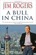 A Bull in China: Investing Profitably in the World's Greatest Market