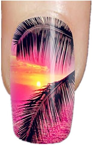 Lovely Designed Plastic False Nails With Palm Trees Design With Stickers