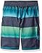 O'Neill Little Boys' Santa Cruz Stripe Boardshort