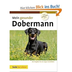 Mein gesunder Dobermann