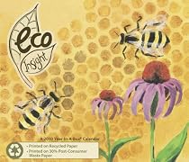 Eco Insight Year In A Box 2010 Calendar