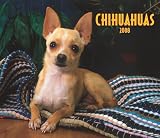 For The Love of Chihuahuas 2008 Calendar