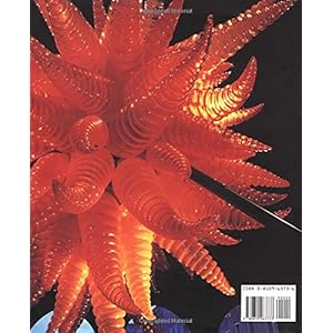 Chihuly: 1968-1996